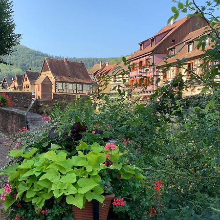Studio Cosy Kaysersberg Centre Exteriér fotografie