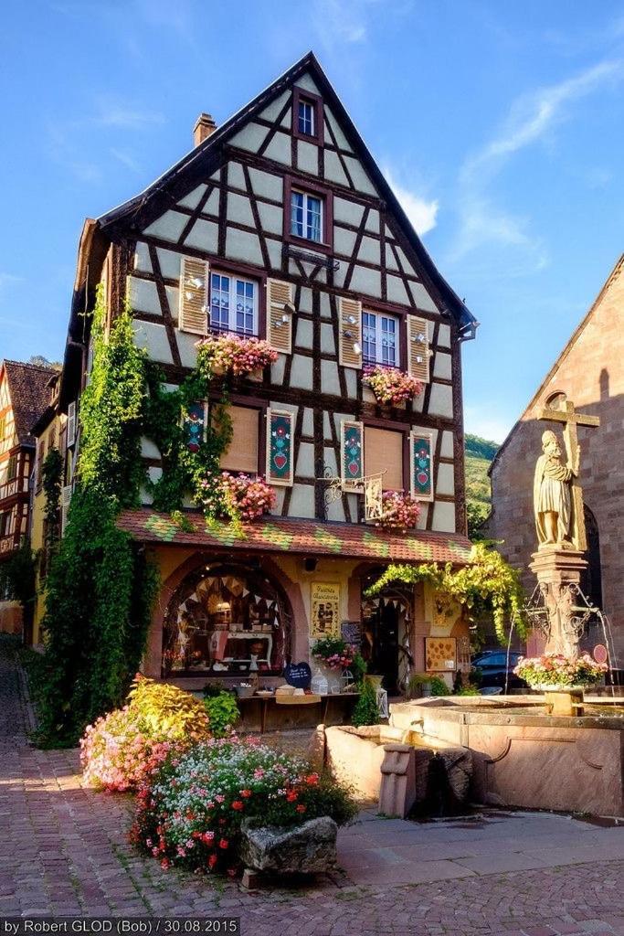 Studio Cosy Kaysersberg Centre Exteriér fotografie